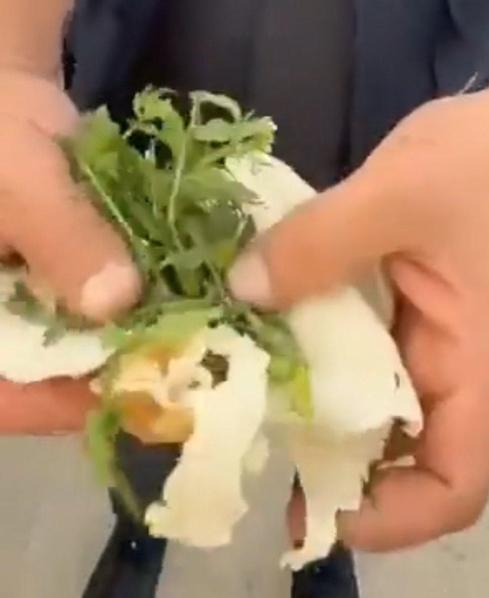 파파존스는 이스라엘 불매 리스트에 있습니다.. 제발 전시도 소비도 하지 마세요ㅠㅠ 가자에서는 사람들이 굶어 죽습니다. 얼마 없는  밀가루로 만든 얇디 얇은 피에 길가에 핀 잡초를 싸 먹는 것이 아이들의 식사이고, 피자가 먹고 싶어, image size:983x1200