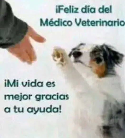 PedroCSilva83's tweet photo. Muchas felicidades a todos los veterinarios en su día
#TumbaElBloqueo
#SiempreAntimperialista
#NoAlTerrorismo
#ProsaPresente
#CardenasenVictoria https://t.co/HlWR0EryUU