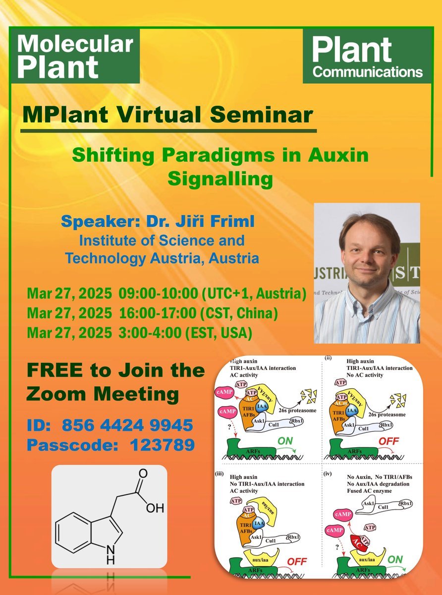 FREE to Join | MPlant Virtual Seminar | Shifting Paradigms in Auxin Signalling | March 27, 2025 9:00-10:00 (UTC+1, Austria) | March 27, 2025 16:00-17:00 (China) | Zoom Meeting ID: 856 4424 9945 Passcode: 123789 | Welcome to join! us06web.zoom.us/j/85644249945?…