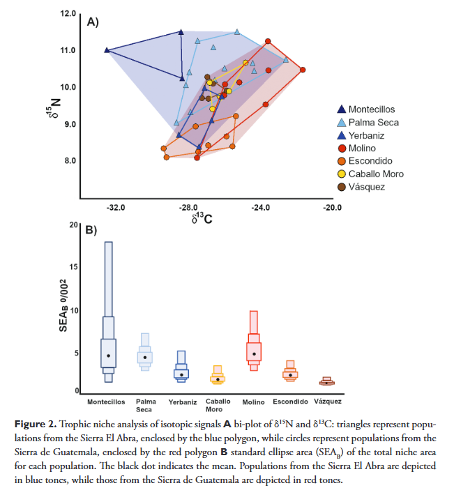 Researchers of <a href="/UNAM_MX/">UNAM</a> and <a href="/uaemorelos/">UAEM</a> characterized the δ13C and δ15N of seven cave populations of the cavefish Astyanax mexicanus from two karst regions in northeastern Mexico: doi.org/10.3897/subtbi…

#cavefish #subterranean #ecology