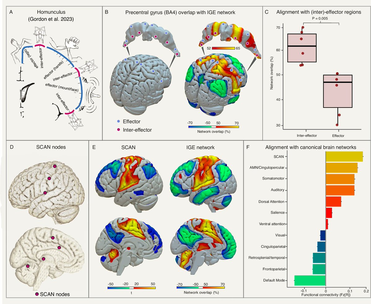 Frederic Schaper tweet media