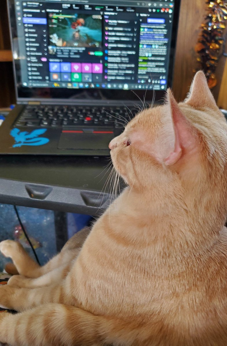Moon_Blade_93's tweet photo. Luffy decided to chill with us while we streamed the other day and then decided to be our new mod! π€£ππ so Welcome in Mod Luffy!! π§‘π #catmod #cat #luffy #monkeydluffy #ONEPIECE #newmod #twitch #stream #streamer #affiliate #MonsterHunter #MonsterHunterRise #ps4 https://t.co/B9fRYSydso