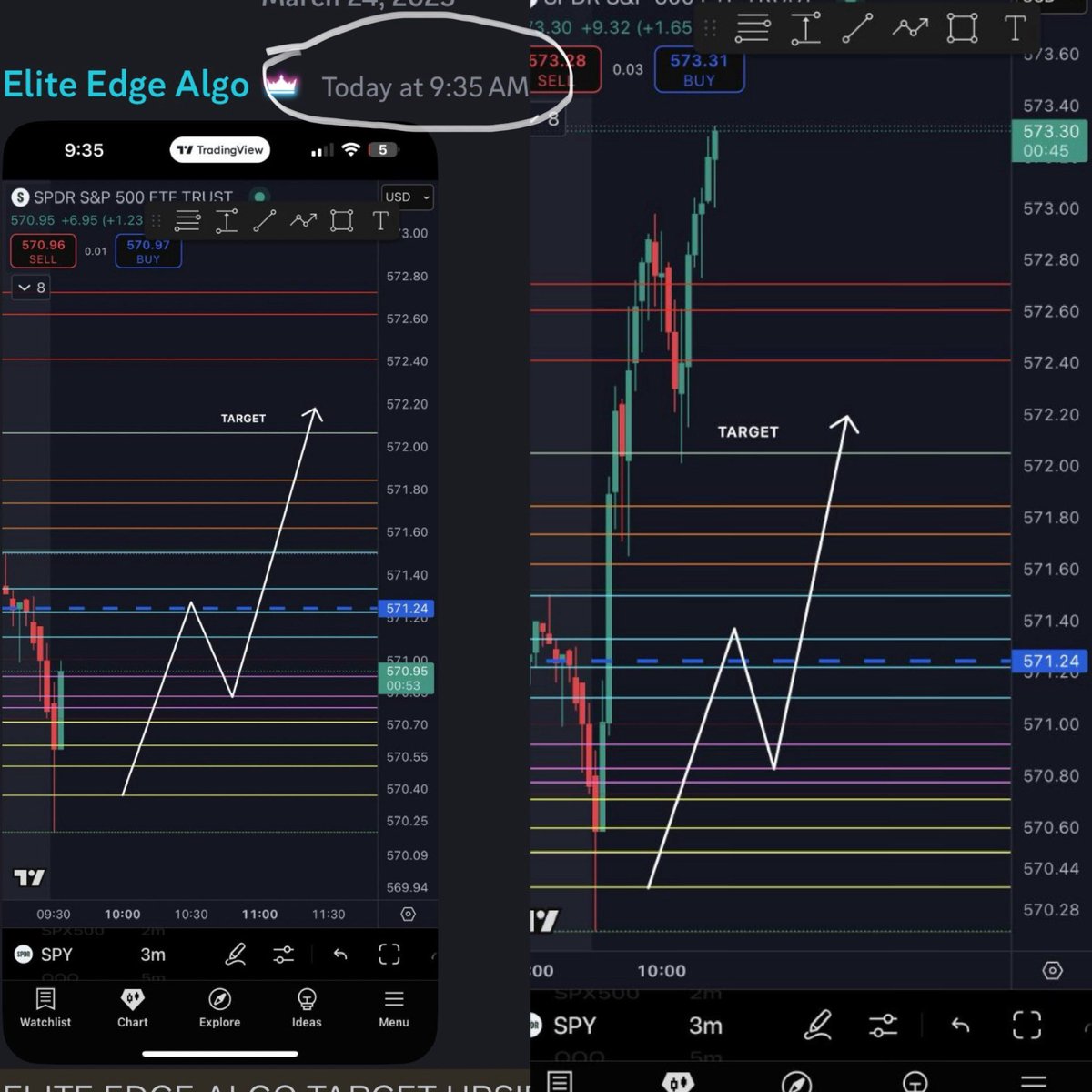Elite Edge Algo tweet media