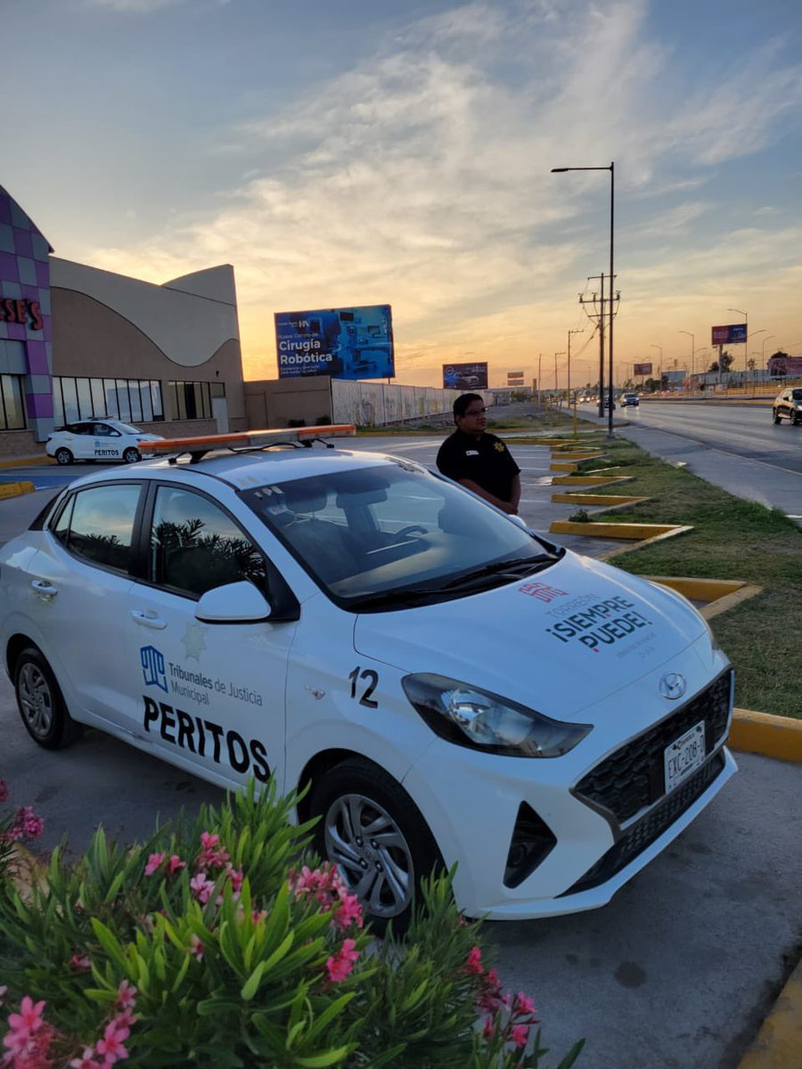 🔹 ¡¡ Excelente inicio de semana !! 
Recuerda que personal de peritos en tránsito terrestre, se encuentran en distintos puntos de la ciudad a fin de acudir de manera inmediata a los accidentes viales que se registran en la ciudad.
#TorreónSiemprePuedeMás👊🏼
