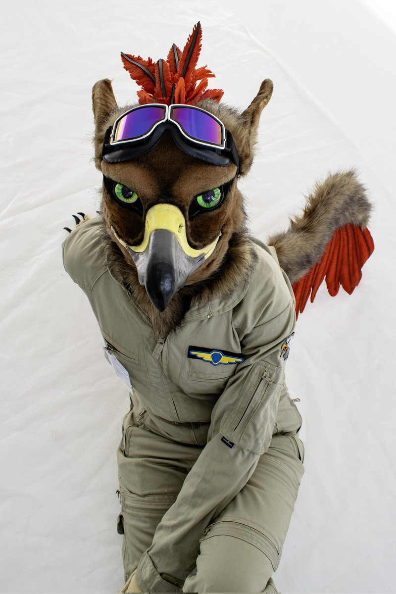 GryphonDark's tweet photo. #fursuit #gryphon
#bird https://t.co/7z3nhYgb8L