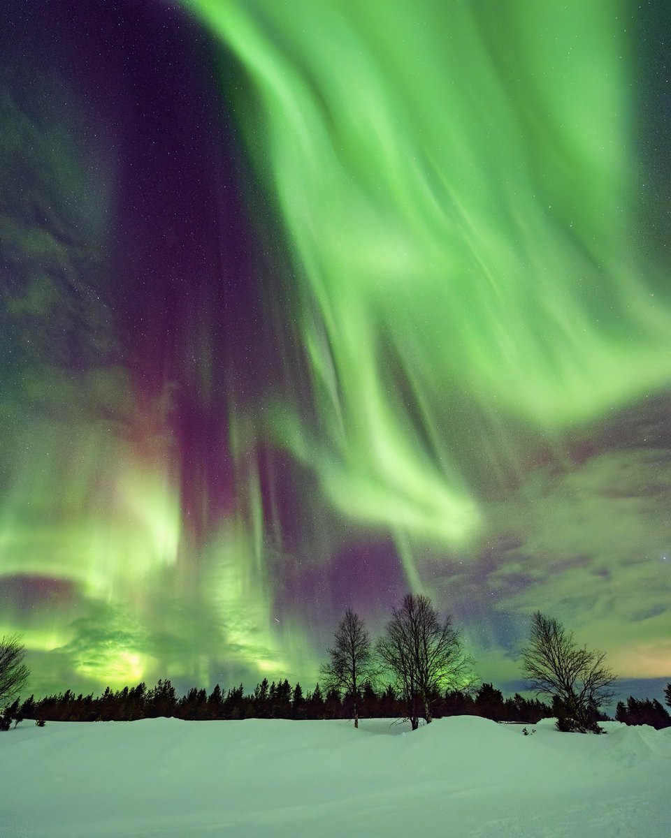 ESA España (@esa_es) on Twitter photo Hoy en #cielosESA...
<a href="/marprol/">Marina Prol</a> nos envía este espectacular cielo boreal
¡Muchas gracias <a href="/marprol/">Marina Prol</a> por tu foto!
Etiqueta tus 📸📸 con #cielosESA Hoy en #cielosESA...
<a href="/marprol/">Marina Prol</a> nos envía este espectacular cielo boreal
¡Muchas gracias <a href="/marprol/">Marina Prol</a> por tu foto!
Etiqueta tus 📸📸 con #cielosESA