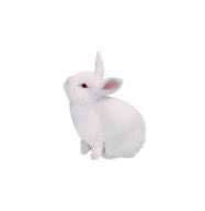 DATAVIXEN's tweet image. ⠀⠀⠀⠀⠀⠀⠀⠀⠀⠀Baby I know , I know
⠀⠀⠀⠀⠀⠀⠀⠀⠀⠀whatever 𝗰𝗶𝘁𝘆 you're in
⠀⠀⠀⠀⠀⠀⠀⠀⠀⠀you're still the boy
⠀⠀⠀⠀⠀⠀⠀⠀⠀⠀i'd 𝐏𝐈𝐂𝐊 .ᐟ
⠀⠀⠀⠀⠀⠀⠀⠀⠀⠀