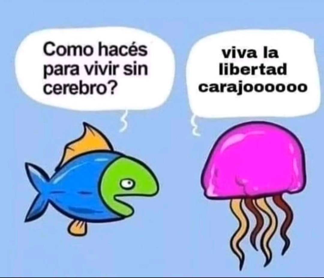 SexshopCapricho's tweet photo. @JoacoCGE22 Los que contestan pensando que es Cristina https://t.co/RXuGrHlJgT