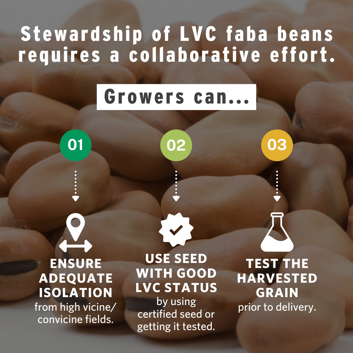 Saskatchewan Pulse Growers tweet media