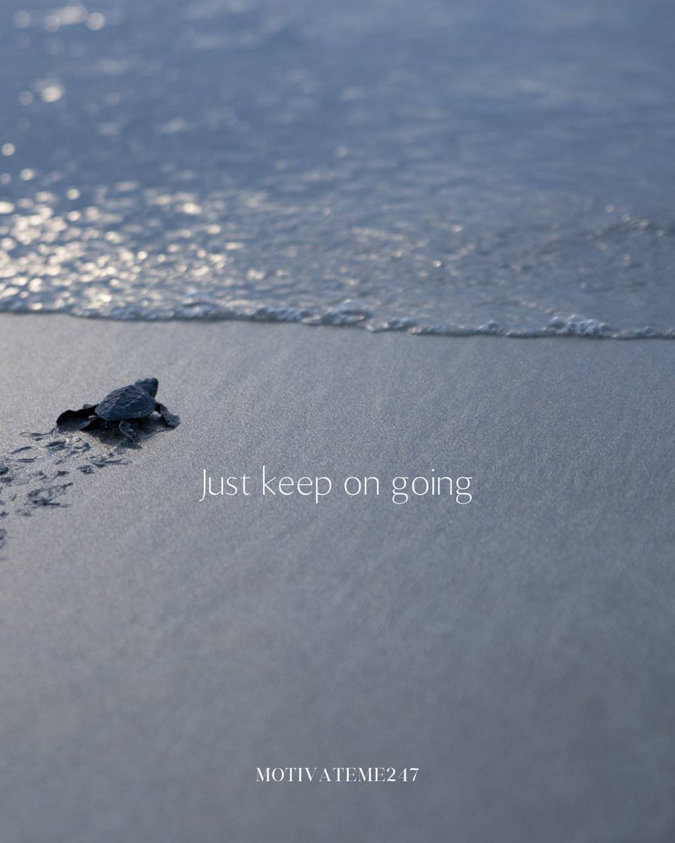 Motivateme247's tweet image. 