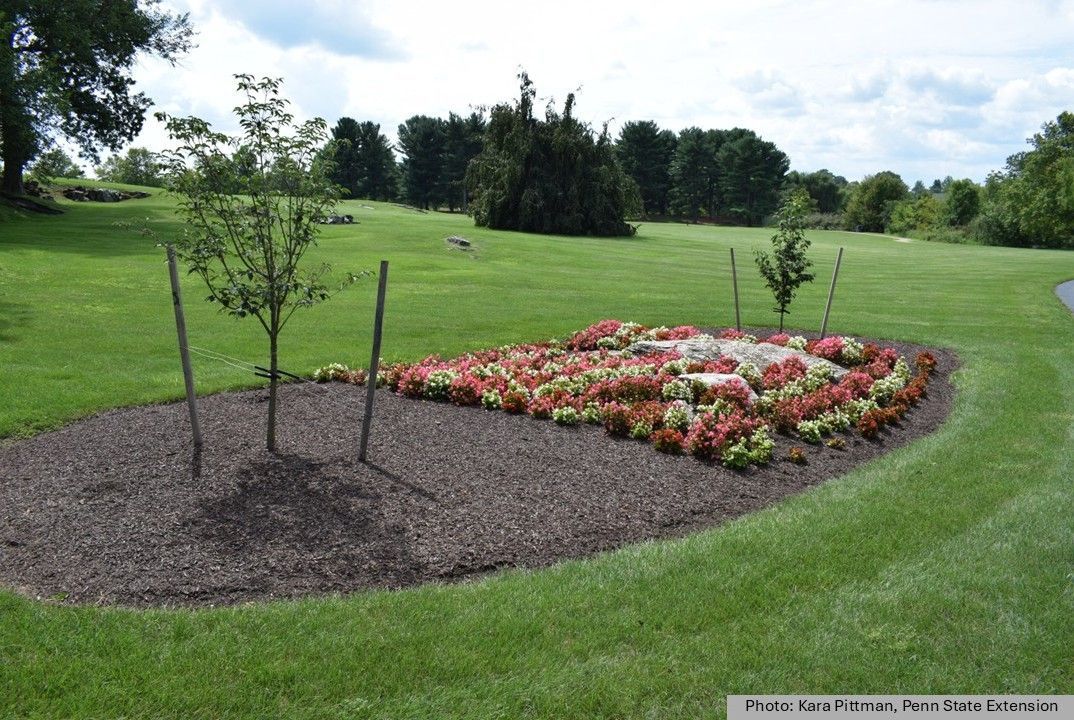 As spring approaches, it's time to plan your garden! Start with pest management by using pest-free inputs like weed-free mulch and disease-free plants. Remember last year's pests and stay ready to scout for them this season!