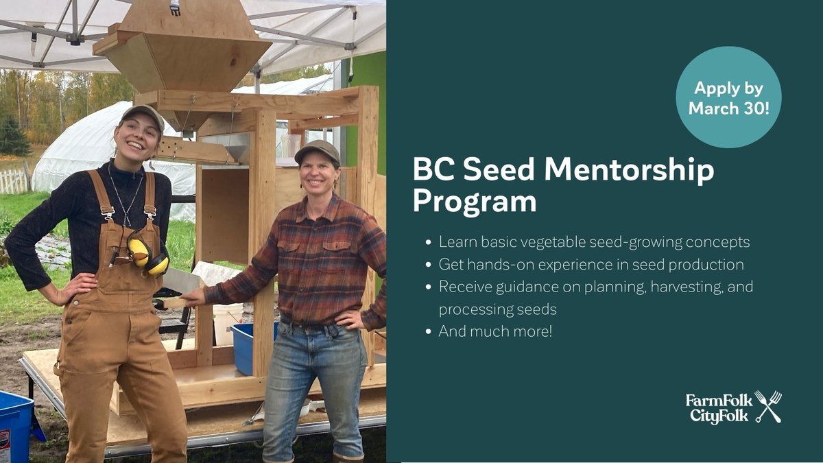 🌾 Applications for the Seed Mentorship Program are still open! 🌾

New and experienced farmers will be paired for a season of learning about seed saving, plant breeding, and more!

🔗  Apply now: farmfolkcityfolk.ca/bc-seed-securi…

Program depends on funding.