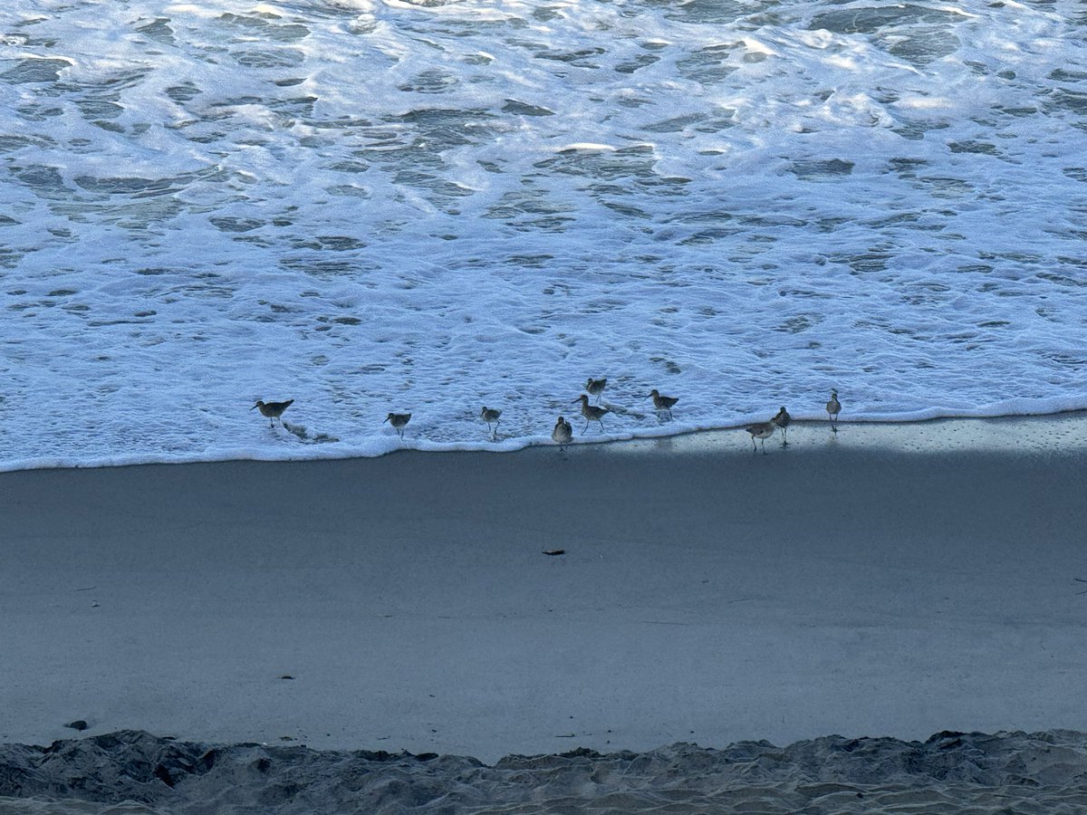 #MorningWalk #CarlsbadStateBeach #Spring2025 🌸