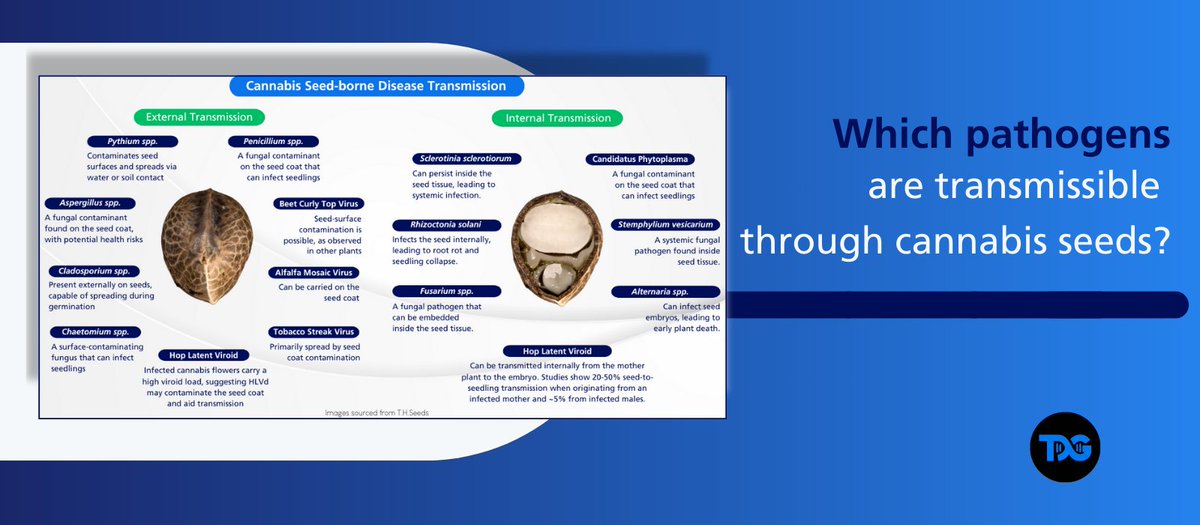 🔬 TUMI Genomics tweet media