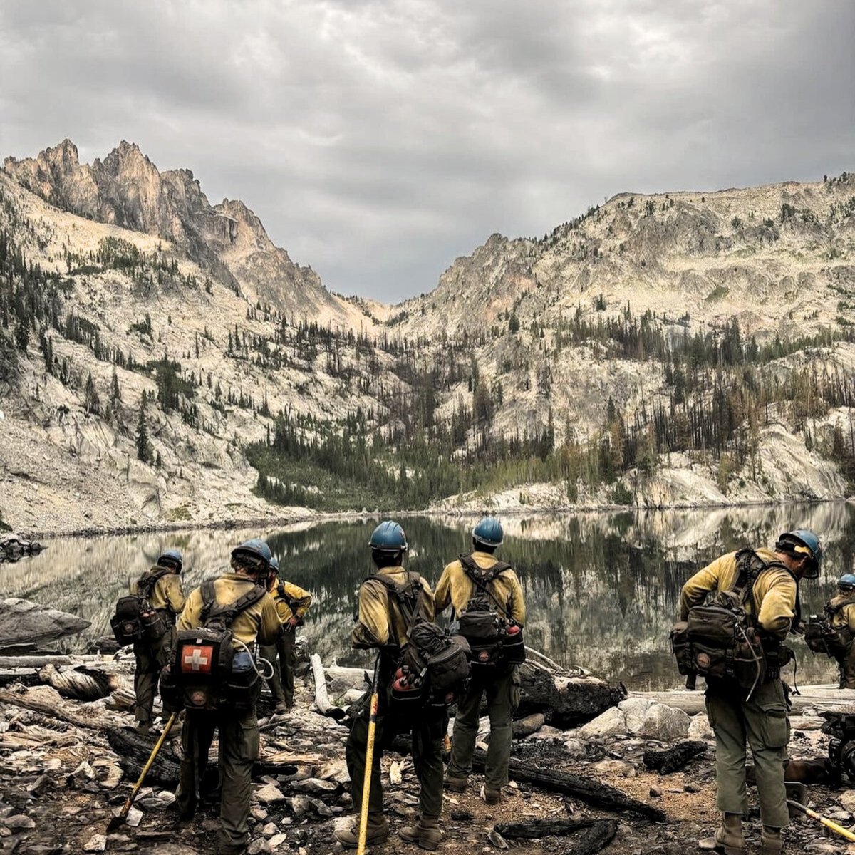 FlashWildfire's tweet photo. 🔥 How do firefighters contain wildfires? 

It’s all about strategy! From firebreaks to controlled burns, learn how pros fight wildfires-

Tap the link in our bio to learn more!

#WildfireSafety #Firefighting #EmergencyPreparedness https://t.co/hKRWNRdvHa