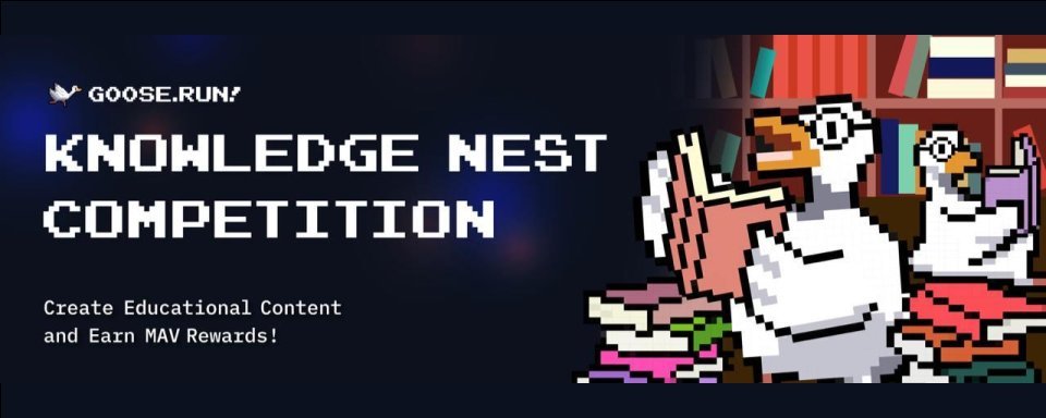 Goose Run 🪿🪿🪿 tweet media