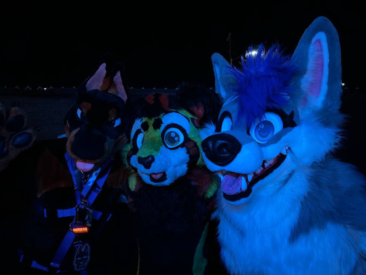 Sapphire Husky (@sapphire__husky) on Twitter photo Had a blast over the weekend at my first time goin to fang! Got to hang with friends and dance the night away! 
πΈ by <a href="/houndsytooth/">HΓUNDS</a> 
#morefurlessmonday #MADTOWNFANG Had a blast over the weekend at my first time goin to fang! Got to hang with friends and dance the night away! 
πΈ by <a href="/houndsytooth/">HΓUNDS</a> 
#morefurlessmonday #MADTOWNFANG