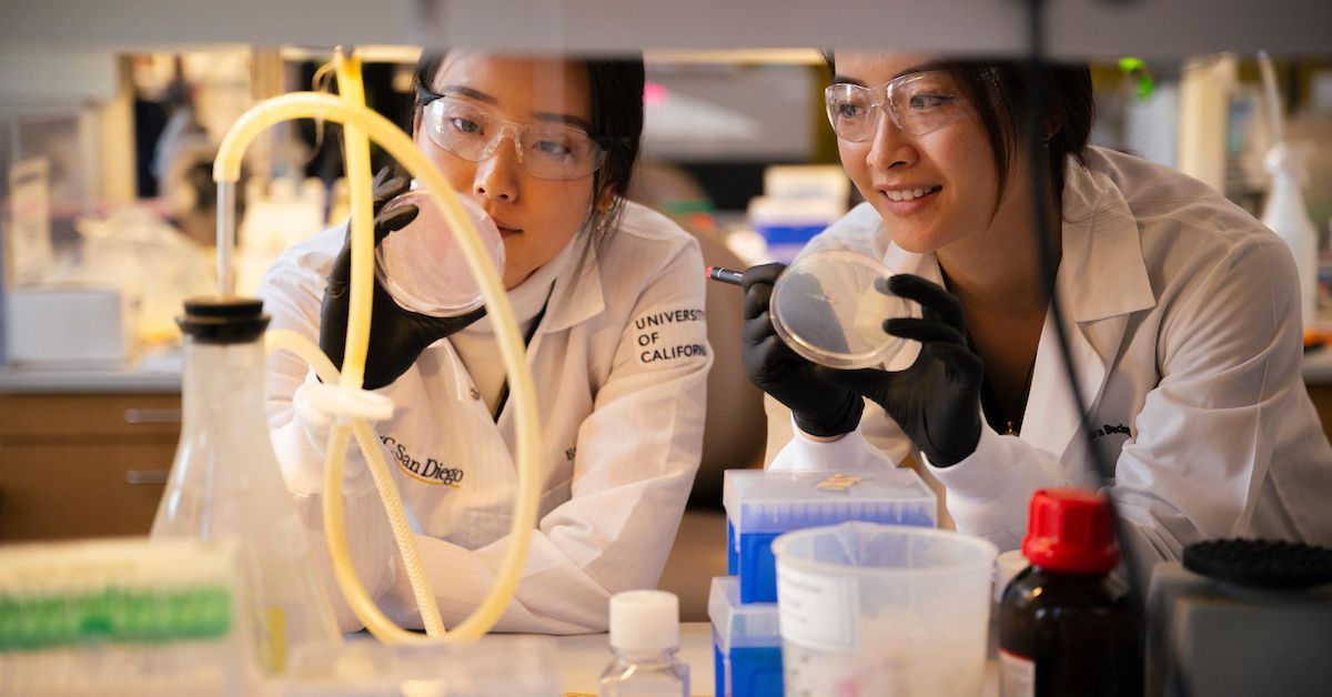 Recognized for its groundbreaking research and industry impact, UC San Diego has been named one of the world’s top 10 universities driving global innovation, according to a report by <a href="/Clarivate/">Clarivate</a>. 🔬 bit.ly/3Dvb6tN
