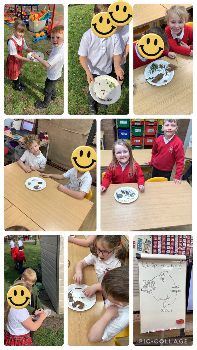 In Re we have been looking at Easter and the new life it brings this is our art work to show the life cycle of a butterfly. #acpsRe