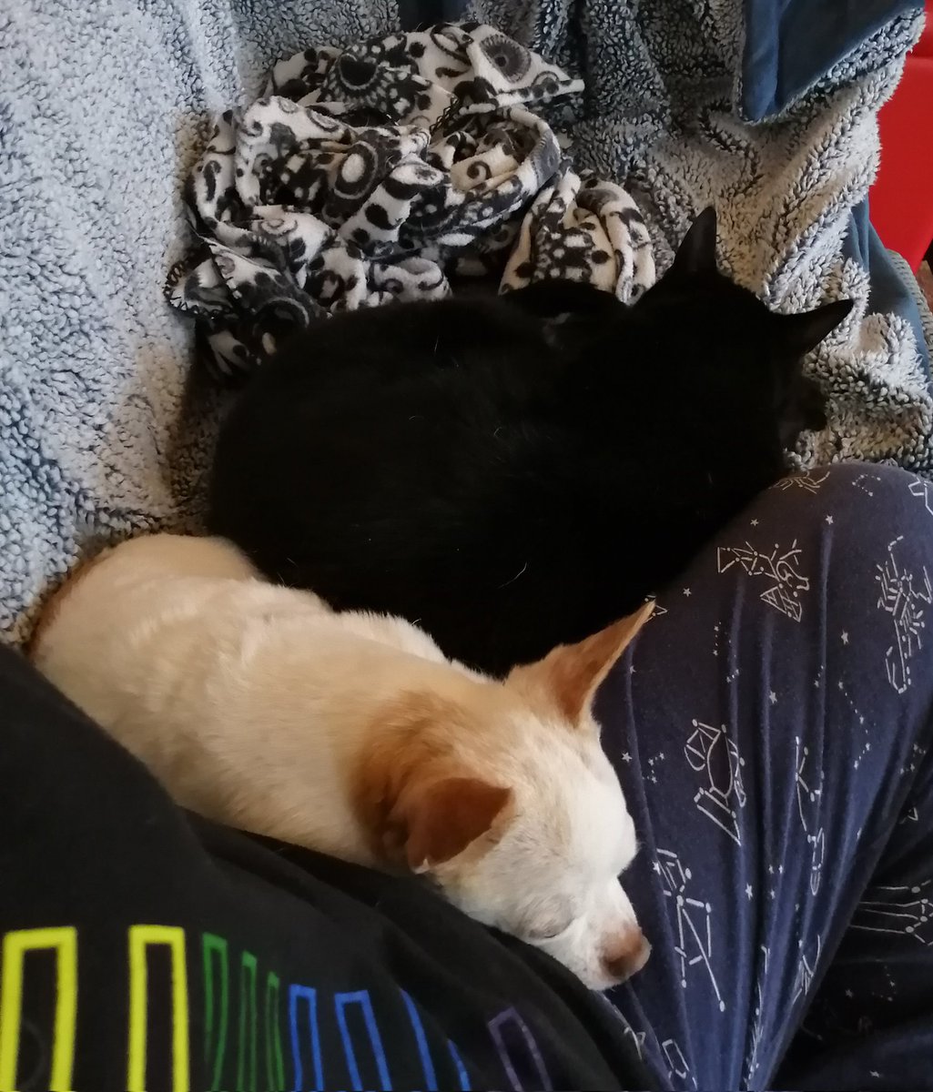 Well, this is a first, and my heart is just bursting 🖤🤍