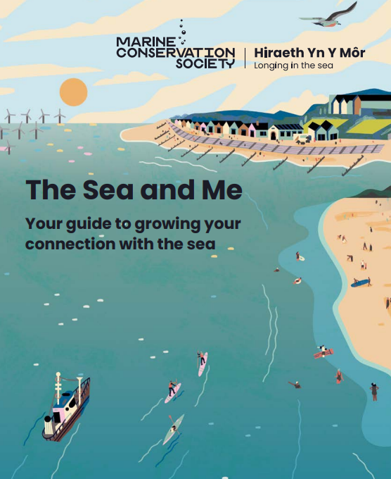 HYYM_mcsuk's tweet photo. Introducing The Sea and Me/ Y Môr a Fi, a digital guide to ocean literacy which was designed to be a helpful resource for anyone who wishes to grow their own connection with the sea and coast, no matter where you are on your journey.
Download the guide: https://t.co/ixqp4UeyhV https://t.co/iggLskfOZo