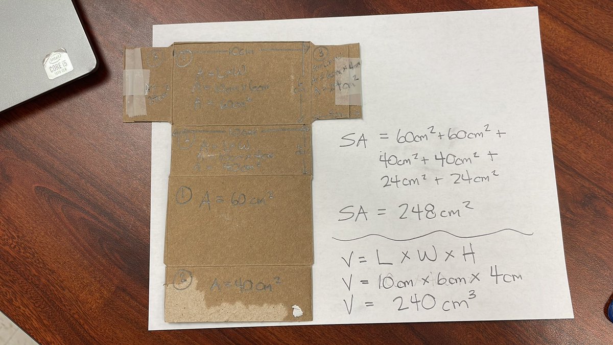 Stephanie Dodaro tweet media