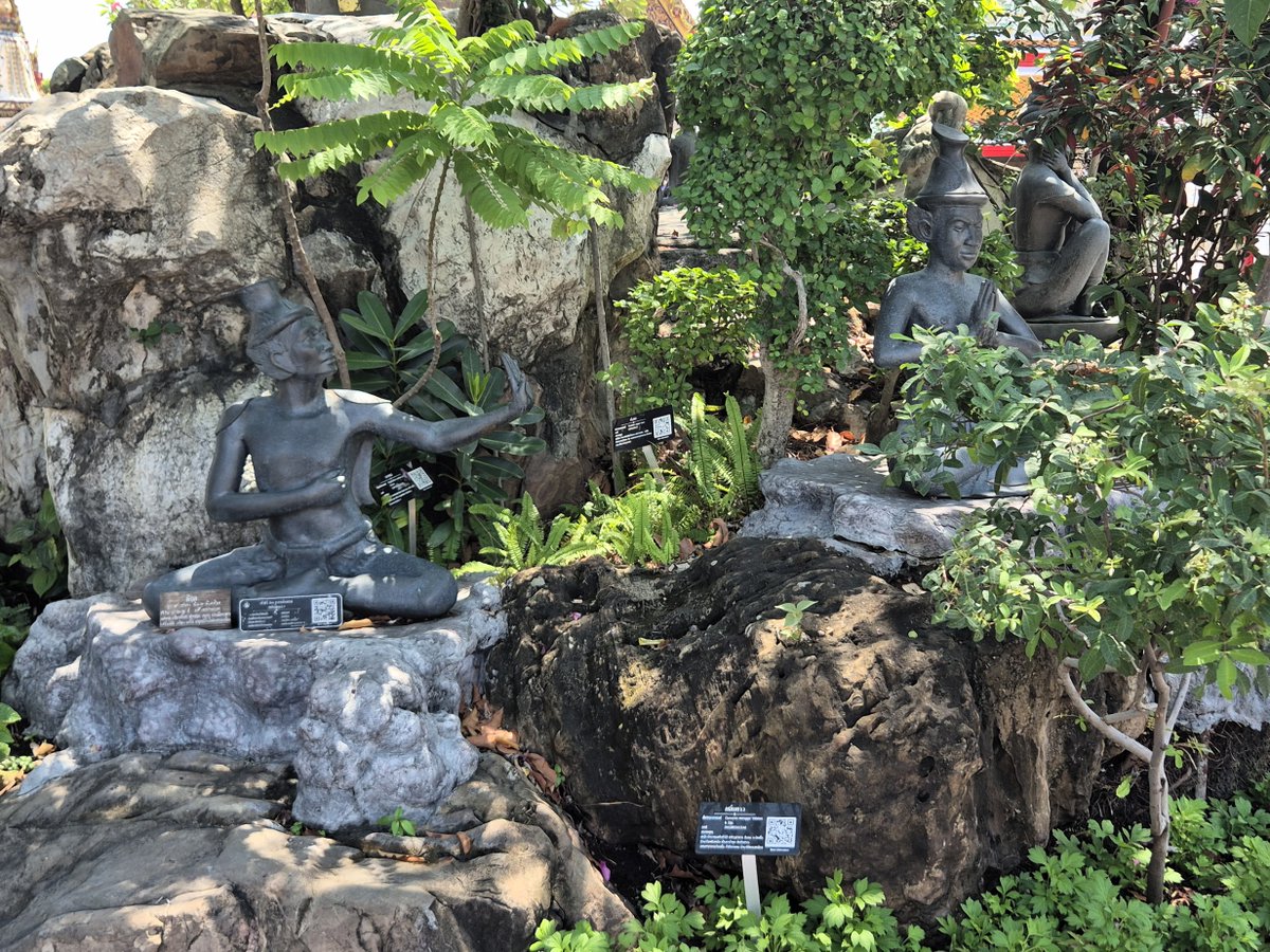 CraigGarden's tweet photo. The Temple Gardens of Bangkok
I’m just back from a truly amazing holiday in Thailand. We visited the temples and their gardens and discovered that the lotus plant symbolises purity, enlightenment and spiritual awakening for the Thai people. https://t.co/zbTnhvZLja