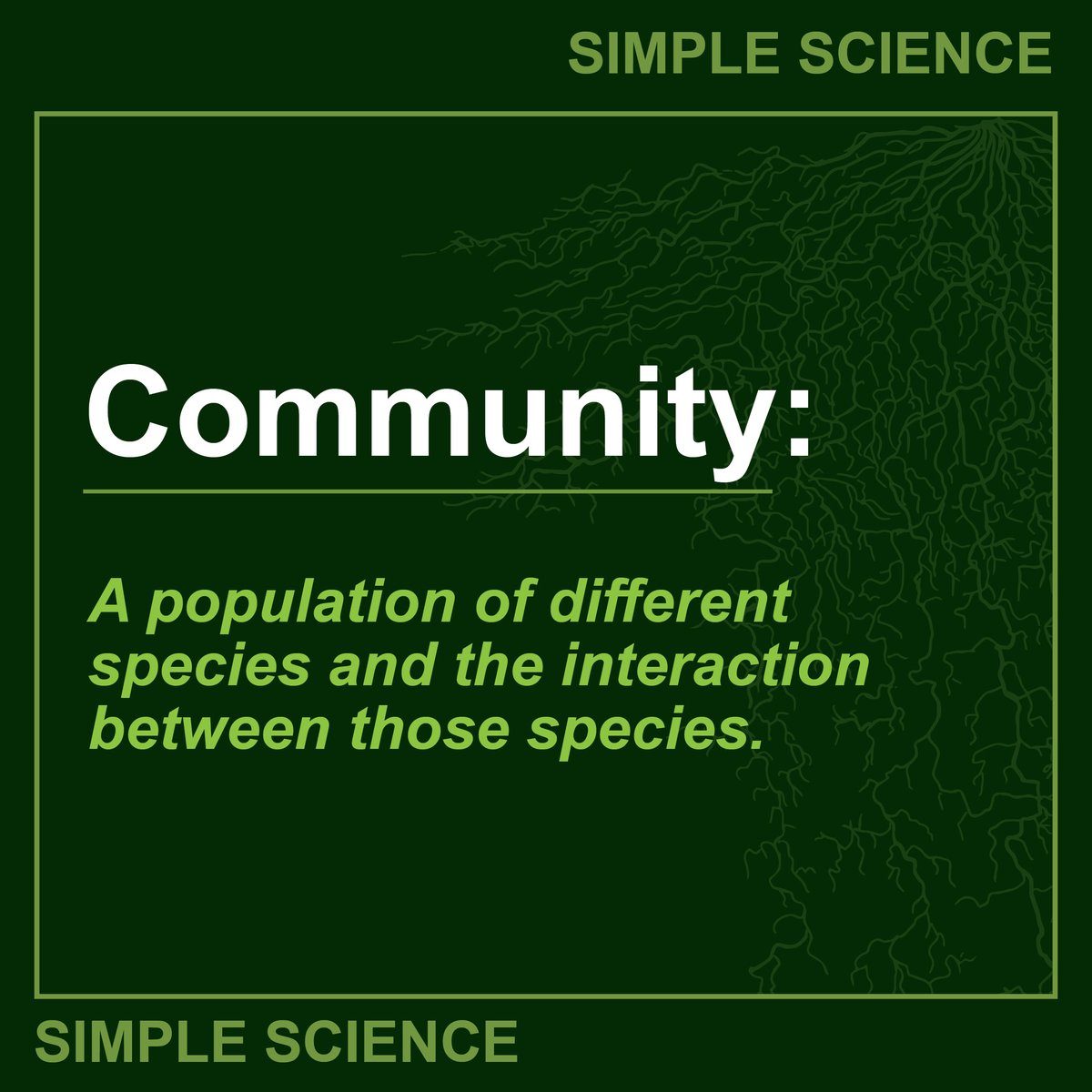 Ecotea_Urban's tweet image. The bigger the community, the more benefits can be achieved. Working together, the thousands of species in EcoTea lead to one outcome... Results! EcoTea, the results of biology.

#Community #EcoTea #SimpleScience #Biology