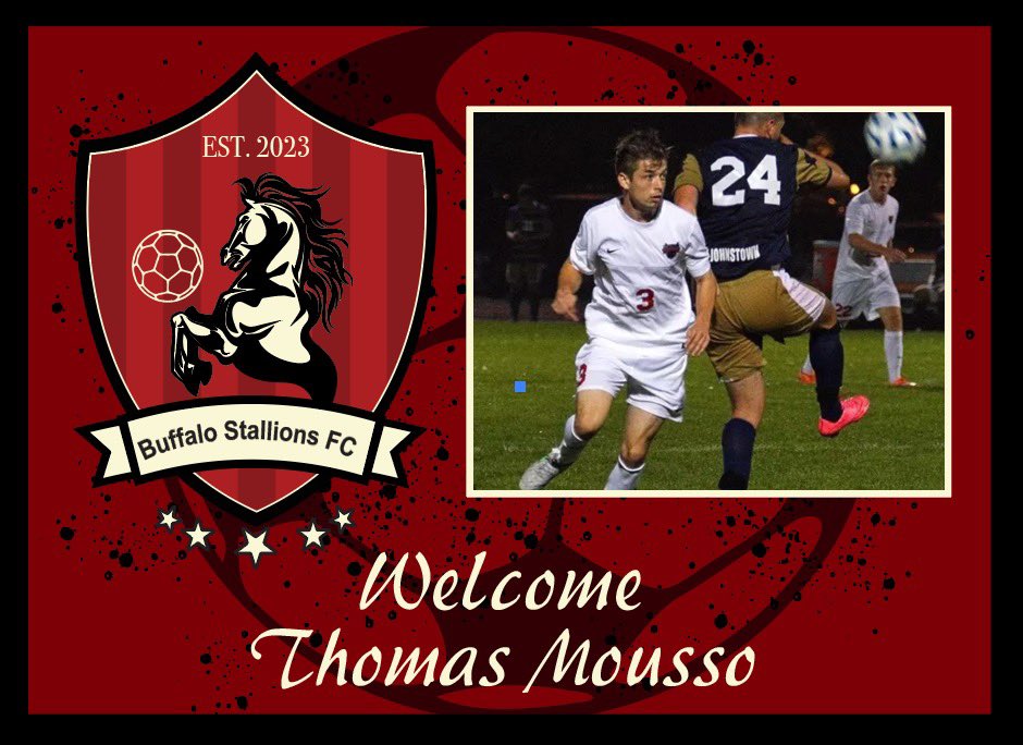 Buffalo Stallions FC tweet media