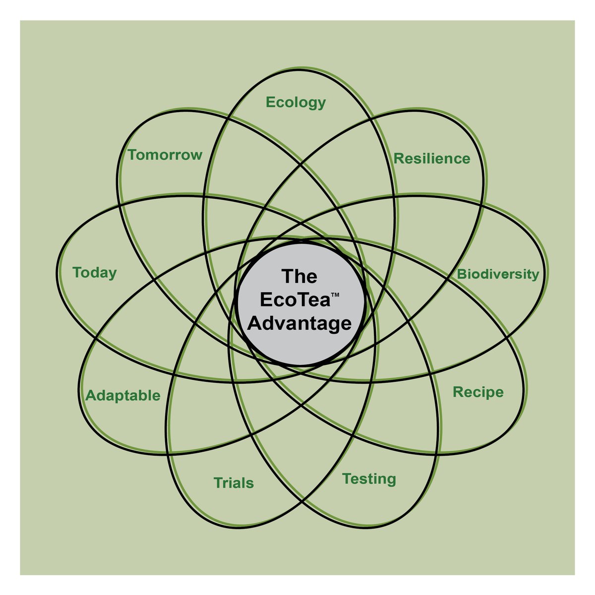 Ecotea_Urban's tweet photo. At EcoTea we know that as the biological space grows so do the options, and the confusion. The EcoTea Advantage is our commitment to our products and the results you want, every time you use our products. These key distinctions are what set up apart in that crowded space. #EcoTea https://t.co/VD2ILs0VIZ