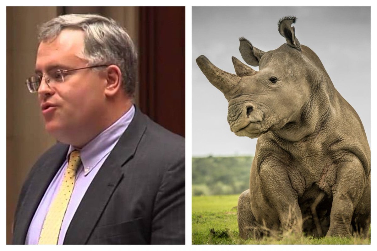 Anti-Trump RINO Dan Stec Wants Elise Stefanik’s Former U.S. House Seat in New York, MAGA Fights Back - bigleaguepolitics.com/anti-trump-rin…