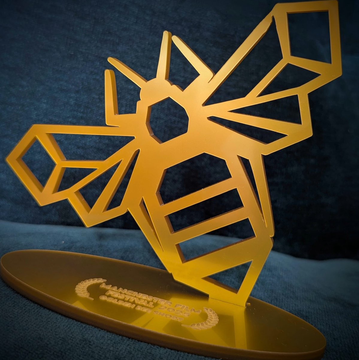 Paul Holbrook tweet media