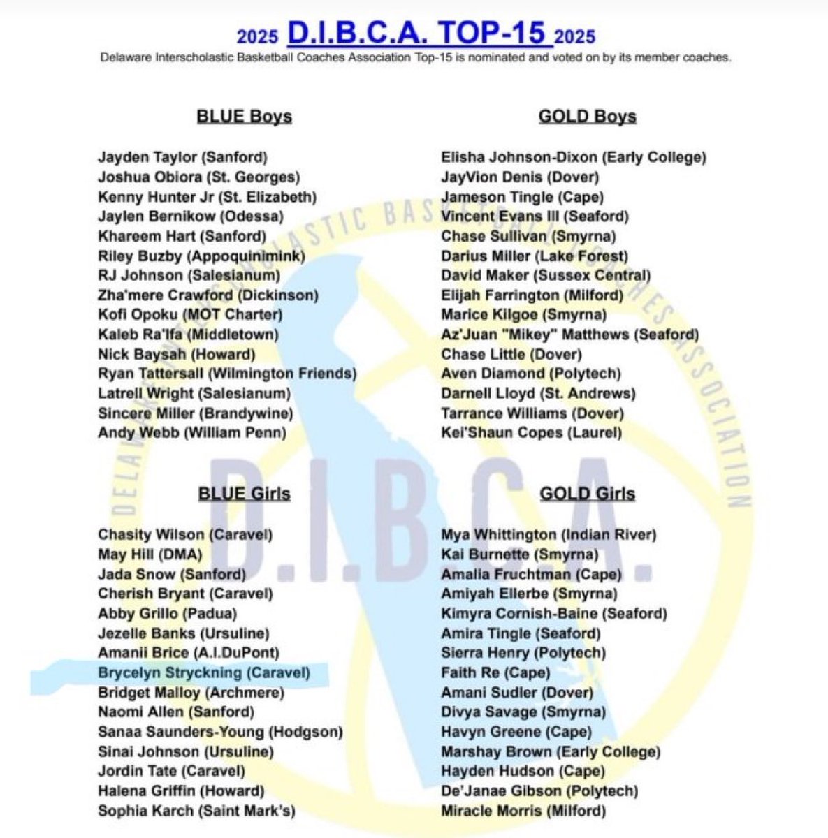 Congrats to our Warriors Naomi and Jada for being selected to the DIBCA TOP 15 North. Shout out to all others who received this honor.