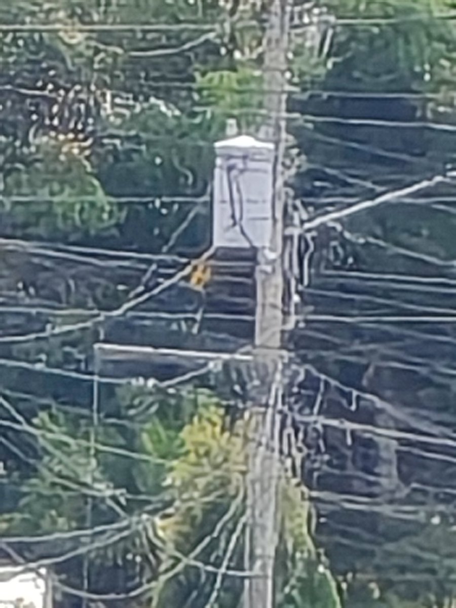 JCasis25's tweet photo. Atención amigos de @ensapanama transformador con problemas se escucho ( explosión ) deja sin luz eléctrica barriada Colinas de cerró viento y sectores alrededor corregimiento #rufinaalfaro Cerró viento https://t.co/AAwJkz2UD1