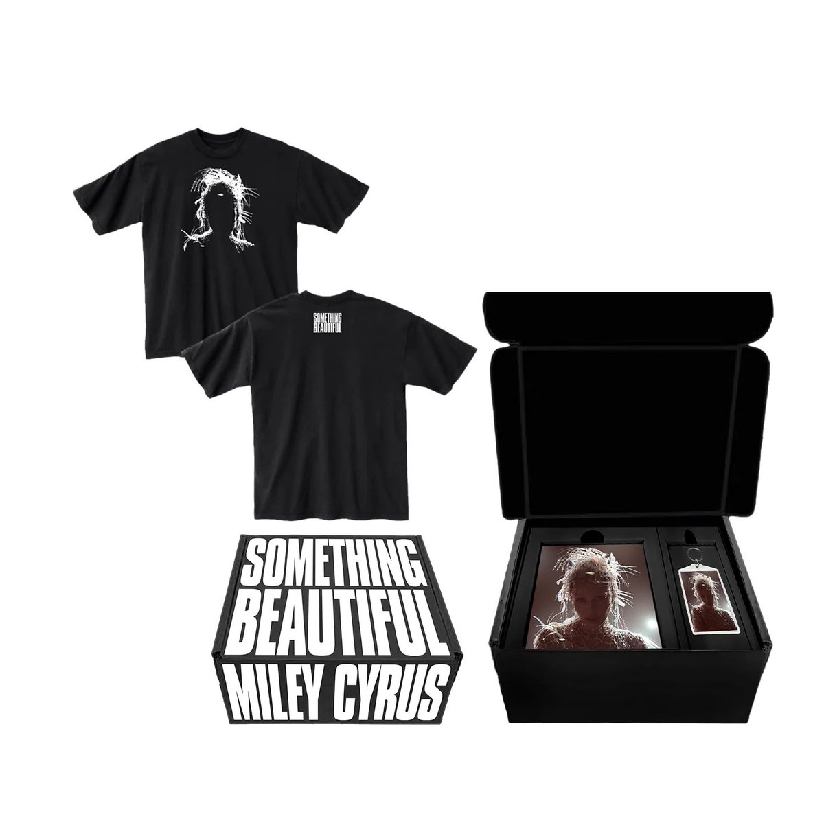Pré-venda liberada do SOMETHING BEAUTIFUL, o mais novo lançamento da Miley Cyrus! Compre sem se preocupar com as taxas da alfândega e parcele seu item em até *10x SEM JUROS! Tem cupom em parceria com a galera do <a href="/feirinhavinil/">FEIRINHA</a> também! Só utilizar FEIRINHA na sua compra.
