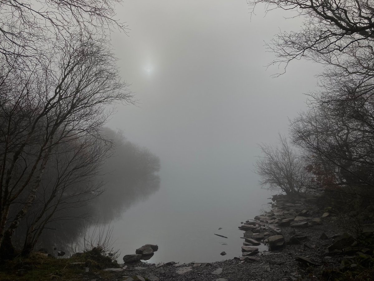 mynyddallyn's tweet photo. Y goeden unig, bore ma… The Lonely tree this morning… Before the mist cleared.. Llyn Padarn Mis Mawrth March 2025… #wales #cymru #llynpadarn #eryri #snowdonia #llanberis 🏴 🥰 https://t.co/3Xm66NT1VR