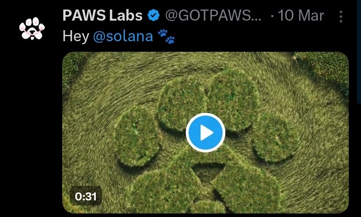 Drlamien's tweet photo. Hi, for those that didn't see their allocation, and we have summited an appeal but there is no response what is our stand?  @GOTPAWSED @PawsFounder @catidpaw @Panda_Paws_ @DurovPD @durov @durovprd @sasha @cz_binance @bitgetglobal @BitcoinMagazine @Bitcoin @Bybit_Official @okx https://t.co/myncQXb9Gj