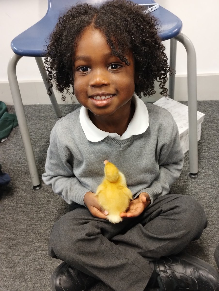 Solebay Primary tweet media