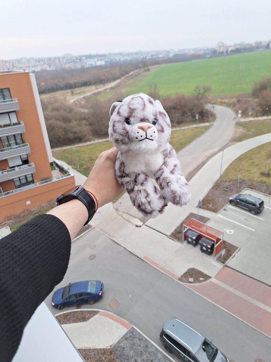 you have 24 hours to make snep son go viral