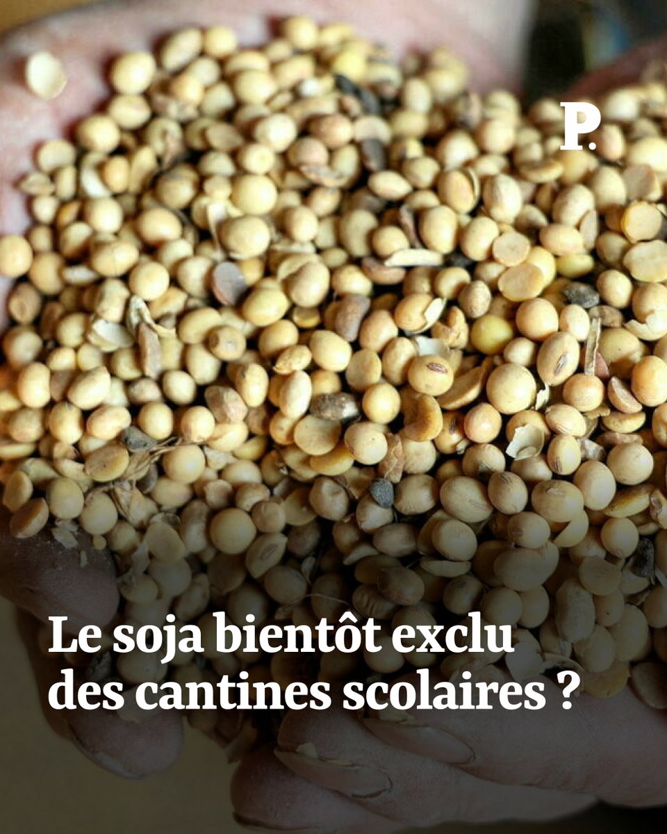 Le Point (@lepoint) on Twitter photo Les produits à base de soja contiennent des perturbateurs endocriniens en quantité préoccupante selon l’Anses, qui recommande désormais de les bannir des cantines scolaires.
➡️ l.lepoint.fr/3u9
Par <a href="/GeWoessner/">Géraldine Woessner</a> ⤵️ Les produits à base de soja contiennent des perturbateurs endocriniens en quantité préoccupante selon l’Anses, qui recommande désormais de les bannir des cantines scolaires.
➡️ l.lepoint.fr/3u9
Par <a href="/GeWoessner/">Géraldine Woessner</a> ⤵️