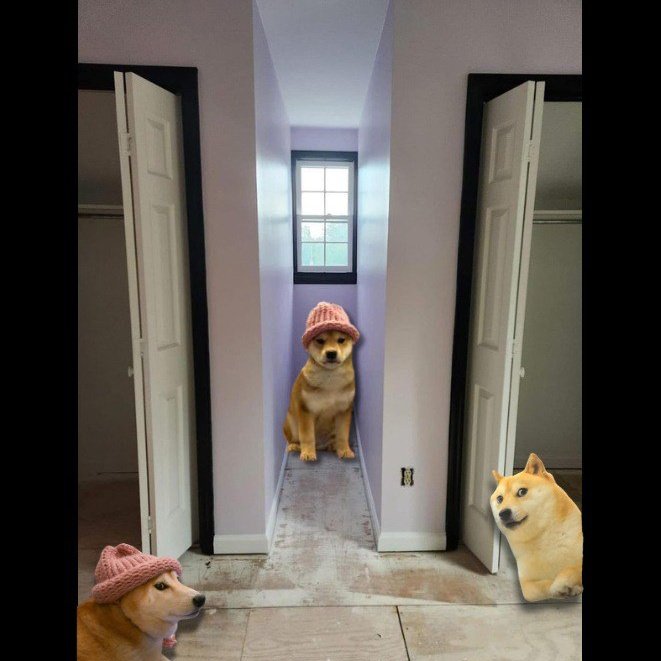 Worthless Dog tweet media