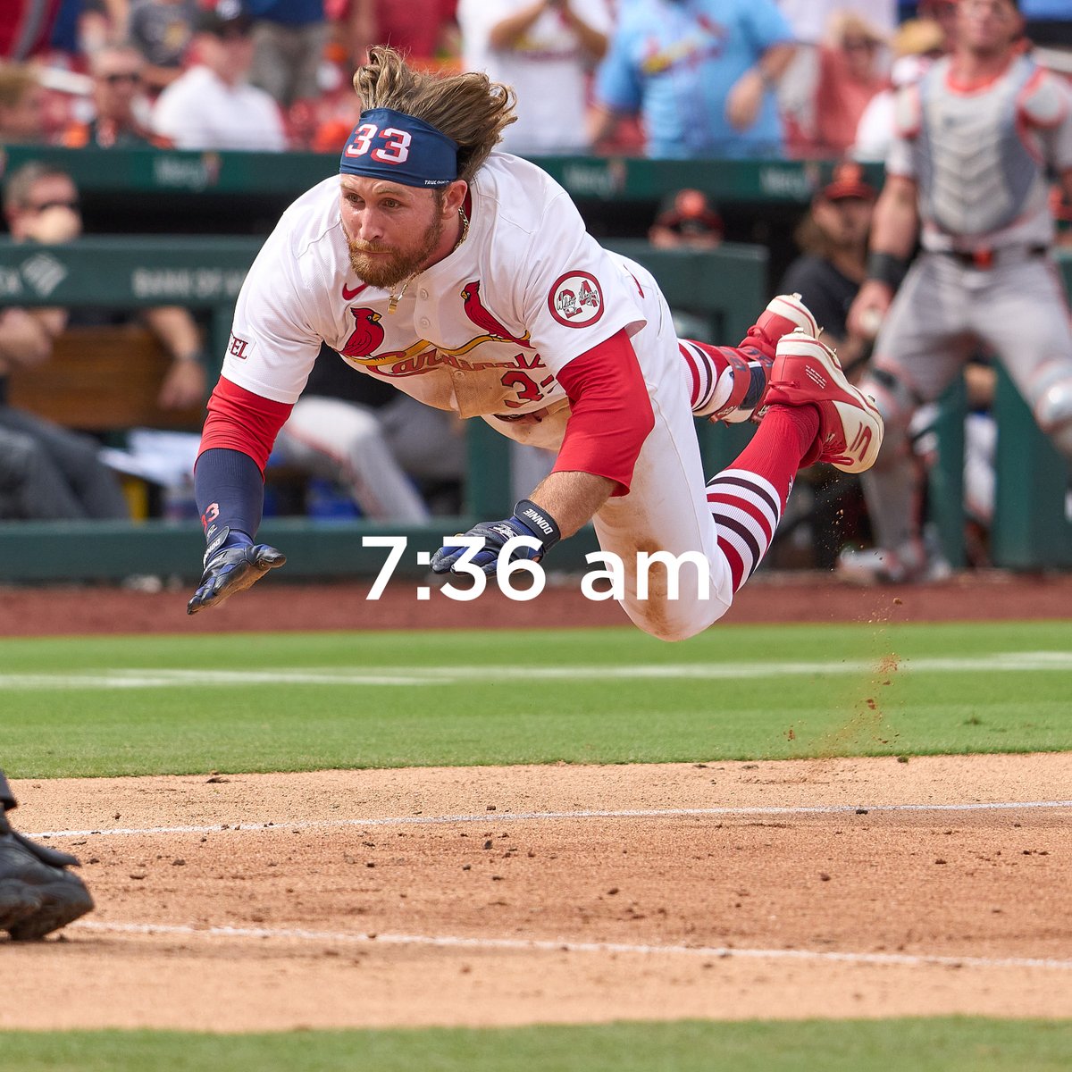 Cardinals's tweet image. The morning routine