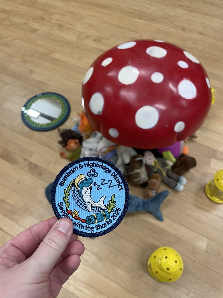 Olivia Grace Girlguiding tweet media