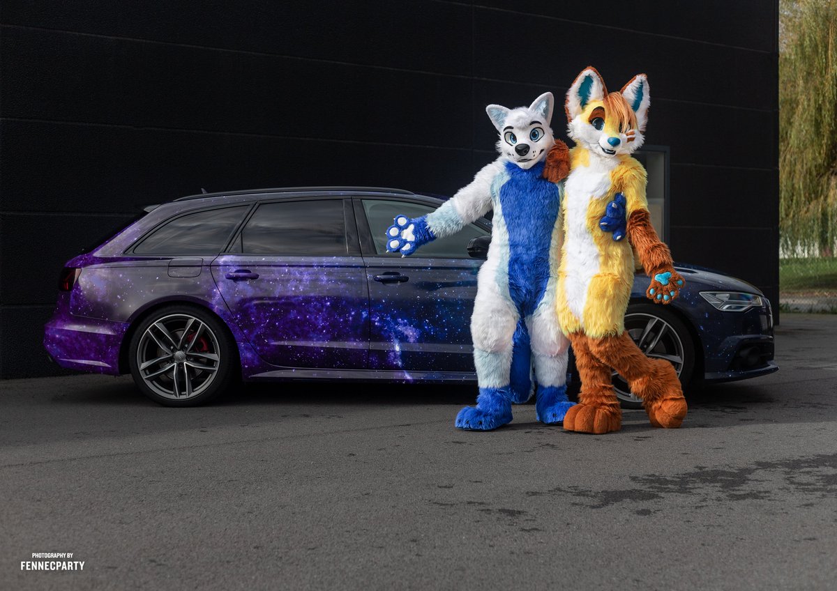 Djem - 🐺 - 🇪🇺 tweet media