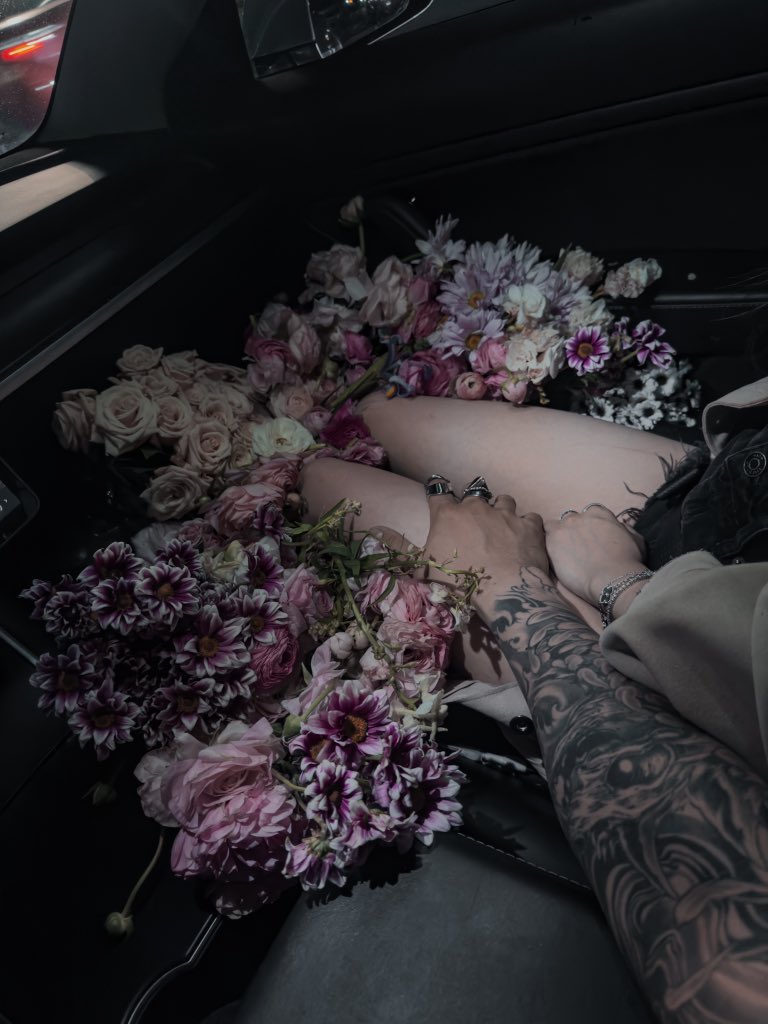 This is what princess treatment looks like.