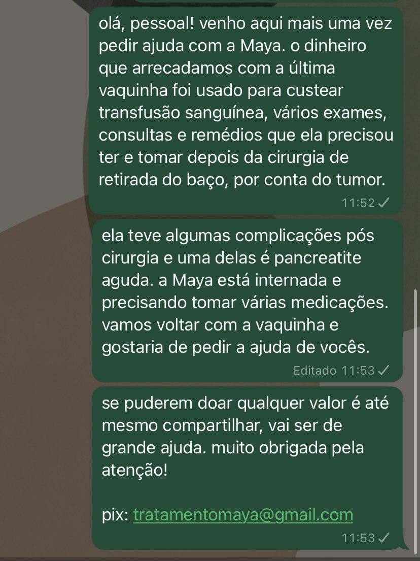 studywithgigi's tweet photo. quem puder tirar um minutinho para dar atenção aqui e ajudar a mim e a minha família, serei muito grata!!🙏🏼
pix: tratamentomaya@gmail.com https://t.co/7ypkCQUdzw