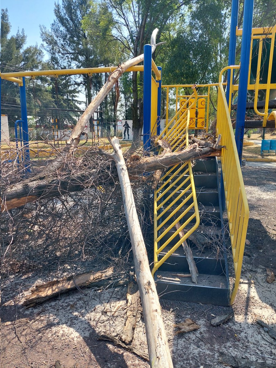 SeleneHidrogo's tweet photo. Árboles caídos y destrozos en 
El parque Adolfo Lopez Mateos en Reyes Ixtacala 
Se necesita ayuda 
@Gob_Tlalne @RacielPerezC_ @PCTlalne https://t.co/7xULrwgFn5