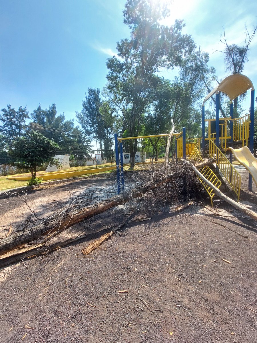 SeleneHidrogo's tweet photo. Árboles caídos y destrozos en 
El parque Adolfo Lopez Mateos en Reyes Ixtacala 
Se necesita ayuda 
@Gob_Tlalne @RacielPerezC_ @PCTlalne https://t.co/7xULrwgFn5