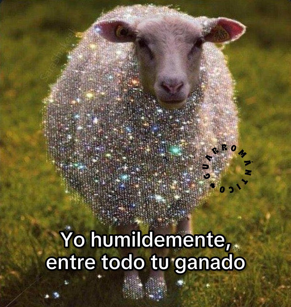 Guarromantico_'s tweet photo. Ahí humildemente. https://t.co/HzraVqiF2R