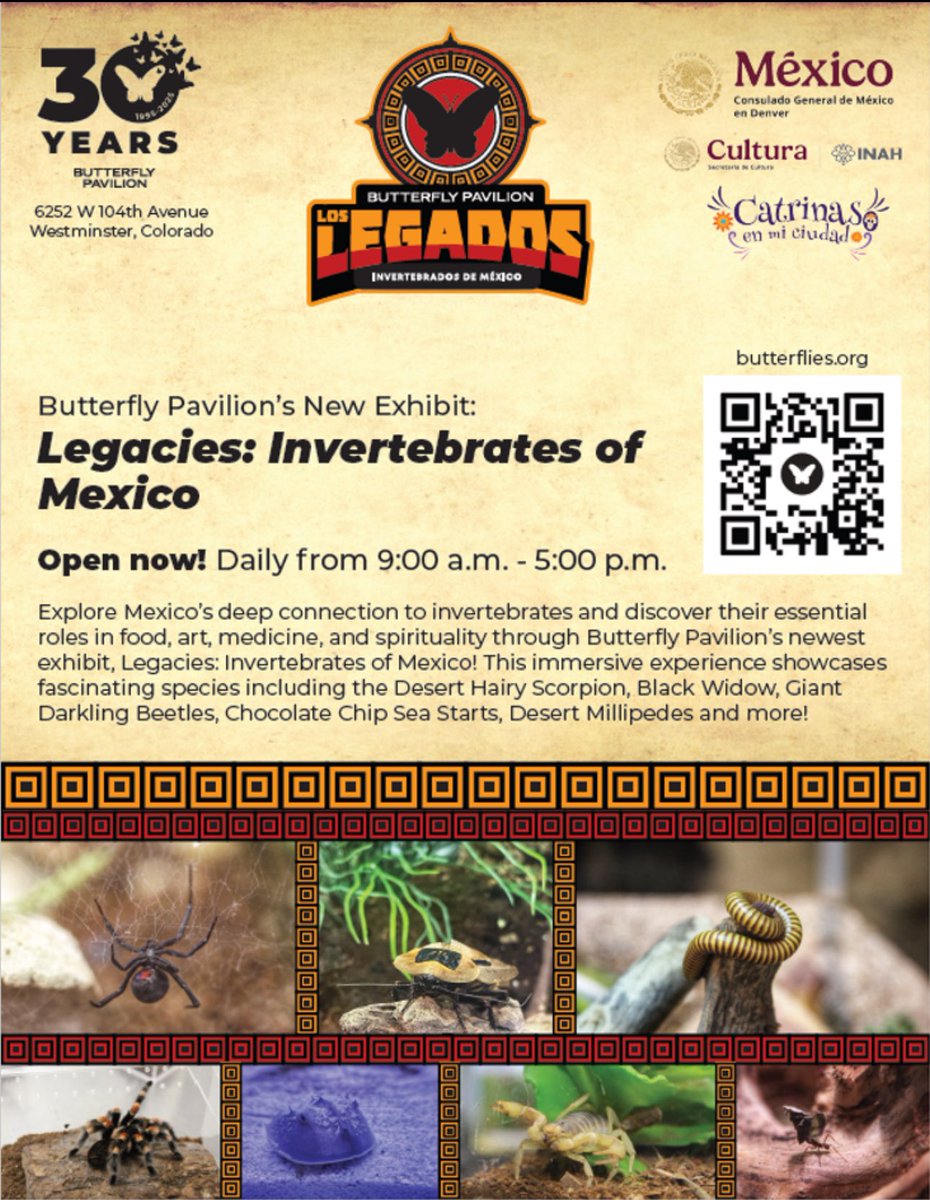Consulmex Denver (@consulmexden) on Twitter photo Don't miss the exciting exhibition "Legacies: Invertebrates of š²š½" brought to you by <a href="/B_flyPavilion/">Butterfly Pavilion</a> <a href="/ConsulMexDen/">Consulmex Denver</a> <a href="/INAHmx/">INAH</a>, where you can discover š²š½ live invertebrates and their relationship to our country's food, art, culture, medicine, and spirituality. butterflies.org/legacies-inver⦠Don't miss the exciting exhibition "Legacies: Invertebrates of š²š½" brought to you by <a href="/B_flyPavilion/">Butterfly Pavilion</a> <a href="/ConsulMexDen/">Consulmex Denver</a> <a href="/INAHmx/">INAH</a>, where you can discover š²š½ live invertebrates and their relationship to our country's food, art, culture, medicine, and spirituality. butterflies.org/legacies-inverā¦